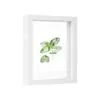 Moldura para Coleção de Flores e Folhas Secas Transfronteiriça Quadrada 8 polegadas Recorte de Papel A4 Moldura de Vidro Dupla Face Porta-Retrato Suporte de Exibição Atacado