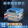 [Novo Modelo Lançado] Incubadora Totalmente Automática Pequena Incubadora Doméstica Incubadora de Ovos de Galinha Rutin Galinha Metabo