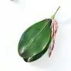 Planta de simulación Hoja de Phalaenopsis película táctil Hoja Verde decoración del hogar planta de simulación arreglo de flores en maceta pequeña venta al por mayor