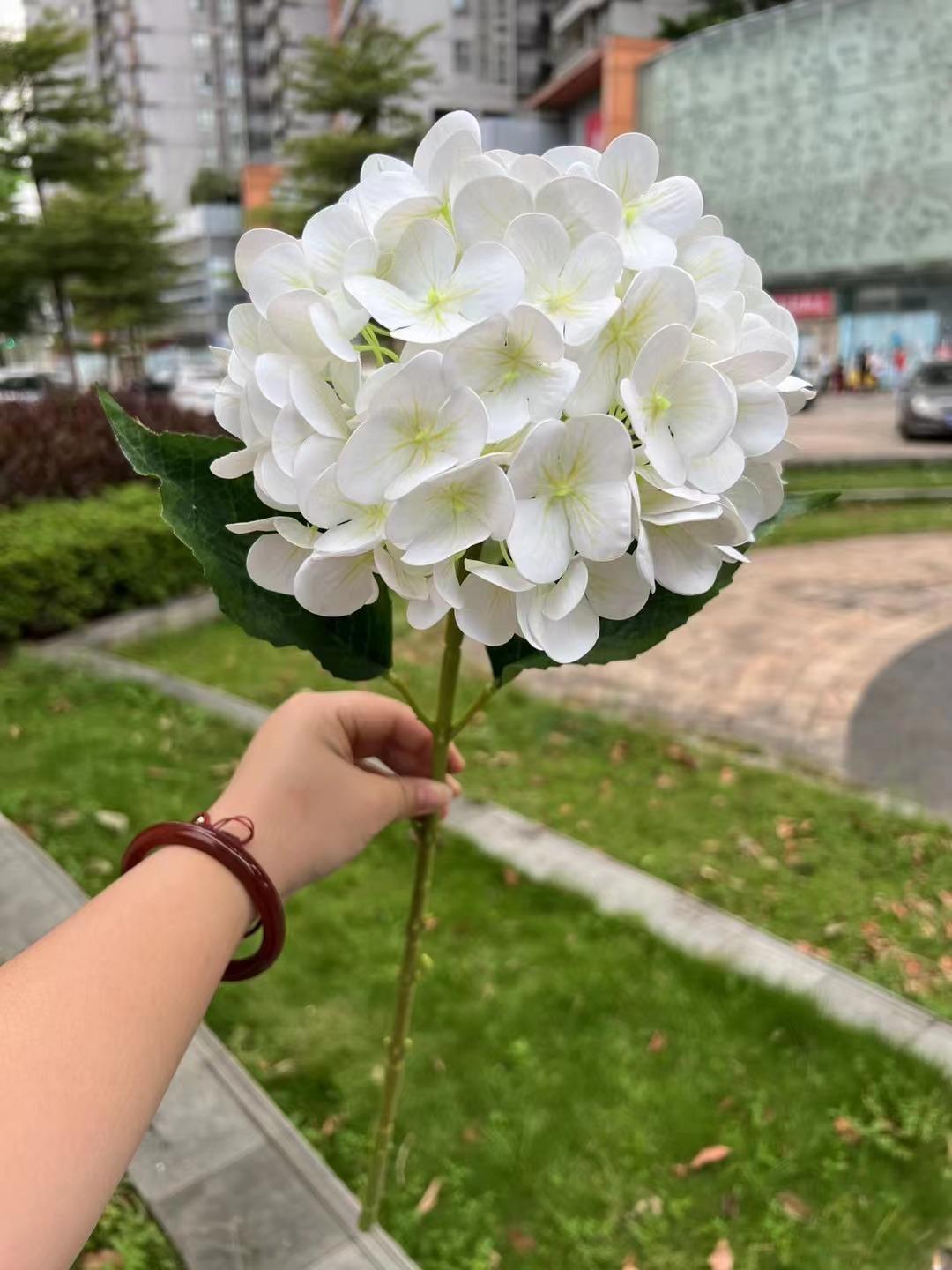 微信图片_20230324193729
