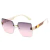 Nuevas Gafas de Sol de Montura Cuadrada, Montura Grande, Gafas de Sol Delgadas y de Moda para Hombres y Mujeres, Ropa para Fotografía Callejera, Gafas de Sol para Viajes
