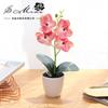 Película de Flor Artificial Orquídea Táctil de Cuatro Flores Bonsái Pequeño Adorno de Flor Artificial Planta Artificial en Maceta Fabricante de Yiwu Alta Simulación