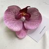 Super Hada Pequeño Fresco Estilo Pastoral Tela Orquídea Mariposa Flor Clip Lateral Dulce Elegante Estilo Bosque Moderno y Elegante Pinza para el Cabello