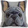 Fronha de gato mais vendida da TEMU para brincar com celular, capa de almofada decorativa para sofá de casa com estampa digital ultra macia