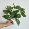 Pequena fileira de flores de casamento de rosa verde com 7 garfos, base de estrada, folha de planta verde, decoração de paisagismo de engenharia externa, planta verde em estoque, fornecimento
