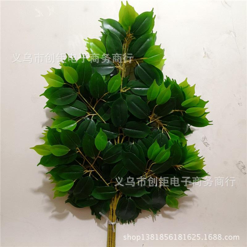 QQ图片20180113090946.jpg