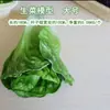 Modelo de Verdura Simulada Lechuga Falsa Repollo Brócoli Hojas Verdes Hojas de Shanghái Modelo de Gabinete Decoración para Casa