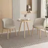 Juego de Mesa y Sillas de Comedor de Negociación Nórdico Imitación Madera Maciza Moderno Minimalista Apartamento Pequeño Balcón Creativo Ocio Sillas para Tienda de Té con Leche