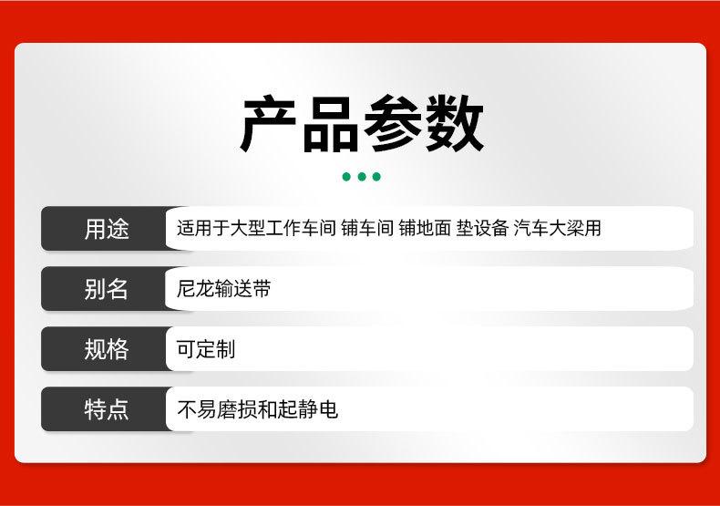 尼龙输送带_04.jpg