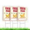 Letrero de Huevos Frescos de Granja Estilo Nuevo Transfronterizo Hecho de Material Plástico Corrugado para Venta de Huevos Rurales y Publicidad en el Patio