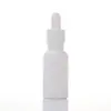 Botella Transparente para Aceite Esencial con Gotero de Punta de Goma, Botella para Líquido de Esencia, Botella Dispensadora de Cosméticos Portátil para Viaje, Botella de Vidrio para Muestras de Prueba