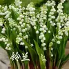 Bulbos y semillas de lirio de los valles, flores en maceta, plantas verdes para uso interior y exterior, resistentes al frío y a las heladas, fáciles de cuidar, florece todo el año, planta fragante