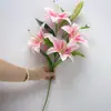 Flores Artificiales al por Mayor de Fábrica, Flores Falsas de Lirio Grande de 5 Cabezas de Venta Caliente Transfronteriza para Fotografía, Decoración de Bodas, Jarrones de Decoración para el Hogar