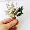 Flores Secas Transfronterizas, Gypsophila, Flores de Cristal, Mini Ramos, Ramos de Punta de Dedo Mezclados y Combinados, Cajas de Regalo, Decoraciones para Tarjetas de Felicitación