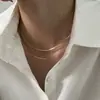 Colar Minimalista para Mulheres, Estilo Hip-Hop Moderno, Nicho de Luxo Leve Gargantilha Corrente Osso de Cobra Dupla Camada