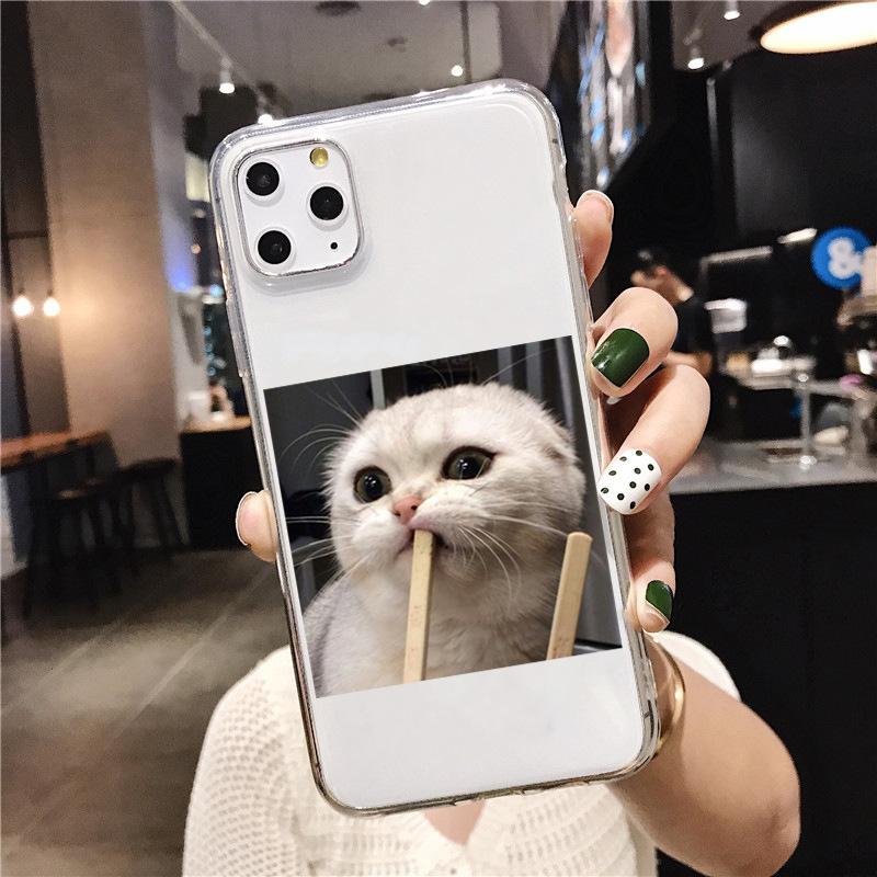1 (5).jpg