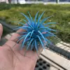 Venda Direta da Fábrica Orquídea do Ar Planta Aérea Planta Sem Solo Vermelho Amarelo Verde Elfo Barba de Velho Medusa Atacado