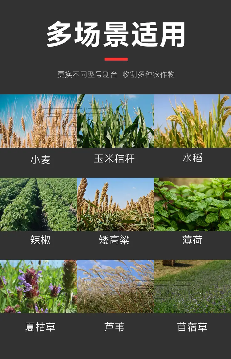 割晒机_02.jpg