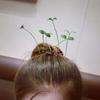 Artefato fofo simulação planta engraçado pequeno broto de feijão flor cabeça grama longa brotando acessórios para cabelo criativo divertido cartão de cabelo chapéu