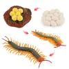 Conjunto de 4 Peças de Figuras Realistas do Ciclo de Vida da Centopeia PVC Estágios de Crescimento de Insetos Figuras Educacionais de Inseto Segmentado para Crianças e Adultos 07cm a 127