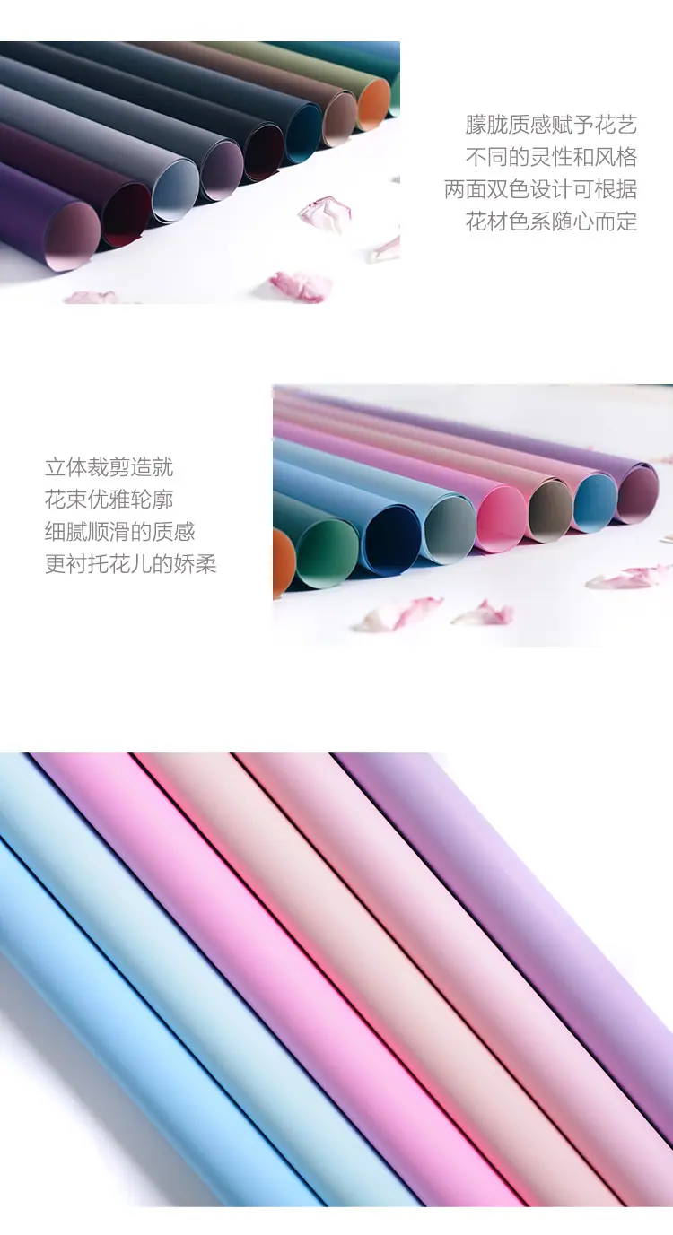 双色纸_16.jpg