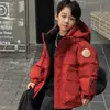 Chaqueta de plumón para trabajo infantil Versión coreana Estilo nuevo Gruesa con capucha para niños y niñas 90% plumón de pato Impermeable Chaqueta Abrigo Moderna