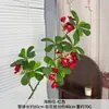 Flores Artificiais para Casamento em Tons Vermelhos, Balões de Hortênsia para Casamento, Decorações de Festa, Painéis de Flores Artificiais, Arranjos para Corredor e Materiais Florais