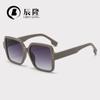 Gafas de sol de mujer de montura grande de moda nueva 2024 8106INS selfie uña de arroz gafas de sol de PC exportación FDA