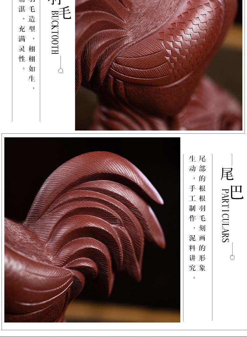 公鸡2020904 (23).jpg