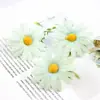 Super Hada Blanca Pequeña Margarita Girasol Pasador para el Cabello Mujer 2025 Nuevo Flor Lateral Flor Flor Pasador para el Cabello Tocado de Playa
