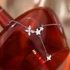 Doce menina flash diamante borboleta colar 2021 novo simples all-match Mori delicado clavícula cadeia colar de flores