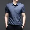 Camisa Polo Masculina Casual de Verão Solta de Manga Curta com Seda de Amora, Não Amassa, Antirrugas, Cor Sólida, Camisa com Gola de Lapela