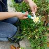 Joelheiras de jardinagem transfronteiriça jardim de capina ao ar livre joelheiras super grossas proteção do trabalho esponja doméstica proteção elástica joelheira almofada