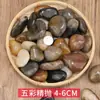 Piedras de Patio, Piedras de Colores, Piedras Pequeñas Naturales para Paisajismo, Piedras Originales para Acuarios, Macetas y Piedras Decorativas