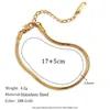 Moda Ins Europeia e Americana Simples de Nicho Versátil Explosivo Colar Pulseira de Corrente Cobra Seis Cortes Banhada a Ouro 18K de Aço Inoxidável para Mulheres