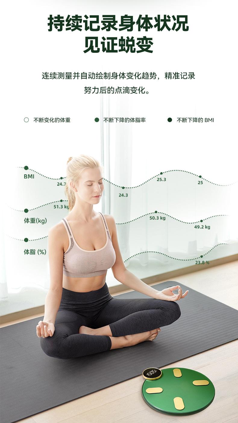 小海龟中文详情_04