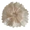Estilo Francés Elegante Gasa Costura Encaje Anillo Grande para el Cabello Malla Elegante Cuerda Dulce para el Cabello de Dama Accesorios de Alta Gama para el Cabello