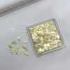 Piezas de Concha de Abulón Natural para Uñas, Fragmentos de Concha de Nácar Aurora Ultradelgados, Decoración de Uñas al por Mayor