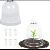 Cubierta protectora para plántulas de plástico transparente y transpirable para el mantenimiento de plantas a temperatura constante.
