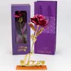 Nuevo Origen Transfronterizo de Amazon Creativo 520 Día de San Valentín Flor Preservada Simulada Rosa de Lámina de Oro Adorno