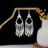 Aretes de Imitación de Plata Miao Estilo Étnico, Aretes Largos con Borlas Vintage, Aretes Estilo Antiguo, Joyería Étnica Miao para Mujeres, Wholesale