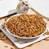 Snacks para Mascotas: Gusanos de la harina, Snacks masticables para hámster, Zanahorias, Hierba Timothy para conejo, Gusanos de cebada, Snacks para mascotas pequeñas