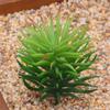Planta Suculenta Mini Atacado Cabeça de Flor Artificial Pequenos Acessórios para Arranjo de Flores Suculenta Falsa Flor de Plástico Planta Decorativa Planta em Vaso