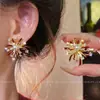 Aretes y Clips para Orejas de Fuegos Artificiales de Año Nuevo, Exquisitos y Pequeños, Diseño de Flor Roja Soñadora, Elegantes y Versátiles, Aretes de Lujo Ligero para Mujer
