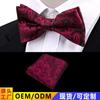 Corbata Vintage para Hombre de Negocios Pañuelo de Bolsillo Traje Camisa de Vestir Lazo Cuello Poliéster Patrón Roto Lazo