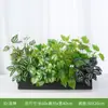 Floreira Externa Flores Simuladas Plantas Verdes Falsas Combinação de Paisagismo Plantas Decorativas Calha de Flores Longa Divisória Produto Acabado Ornamentos de Paisagem