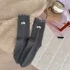 Calcetines de Algodón Grueso Color Sólido con Etiqueta de Tela con Adorno de Madera Estilo Coreano para Media Pierna Novedades de Otoño Calcetines Versátiles con Encaje Dulce para Mujer