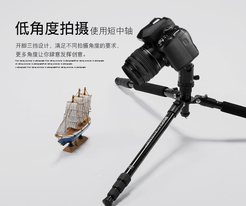 M2508 (3).gif