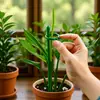 Phalaenopsis Suporte para Orquídea Haste de Suporte para Planta Endireitamento Suporte de Fibra de Vidro Haste de Fixação para Planta Trepadeira