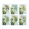 Pegatinas de Día Hermoso Serie Bosque de Lirios del Valle Tema Lirios del Valle Set de Materiales para Diario 5 Hojas con 6 Diseños